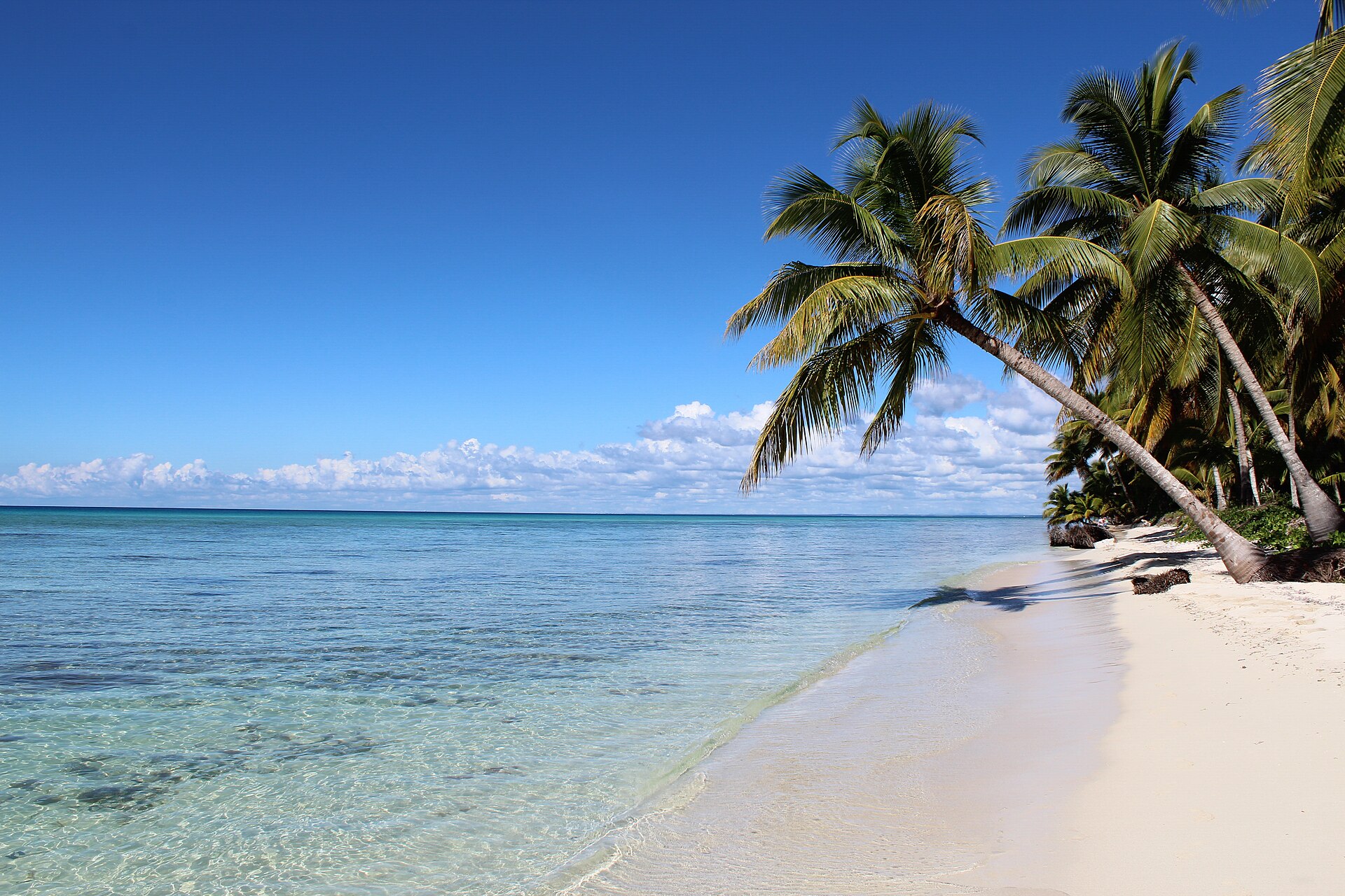 Excursión de un día a Isla Saona